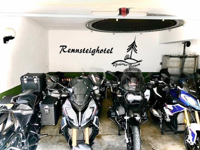Rennsteighotel Gruener Baum Schmiedefeld am Rennsteig Dış mekan fotoğraf
