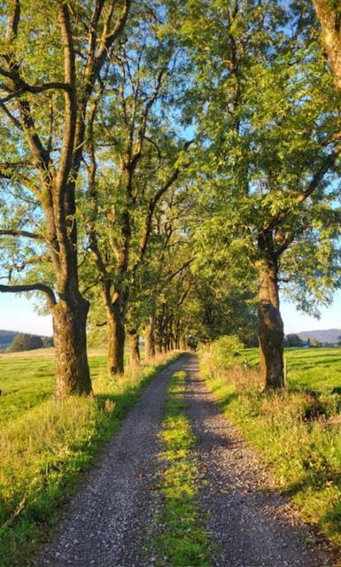 Rennsteighotel Gruener Baum Schmiedefeld am Rennsteig Dış mekan fotoğraf