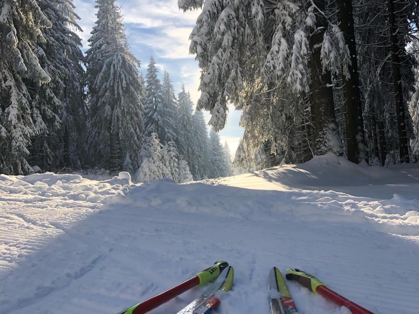 Rennsteighotel Gruener Baum Schmiedefeld am Rennsteig Dış mekan fotoğraf