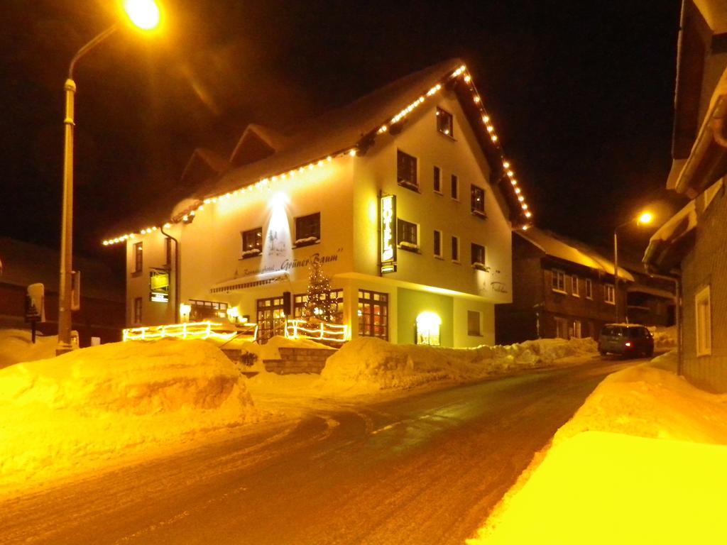 Rennsteighotel Gruener Baum Schmiedefeld am Rennsteig Dış mekan fotoğraf